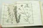 Martinus Houttuyn, Carl von Linné - Natuurlyke historie of