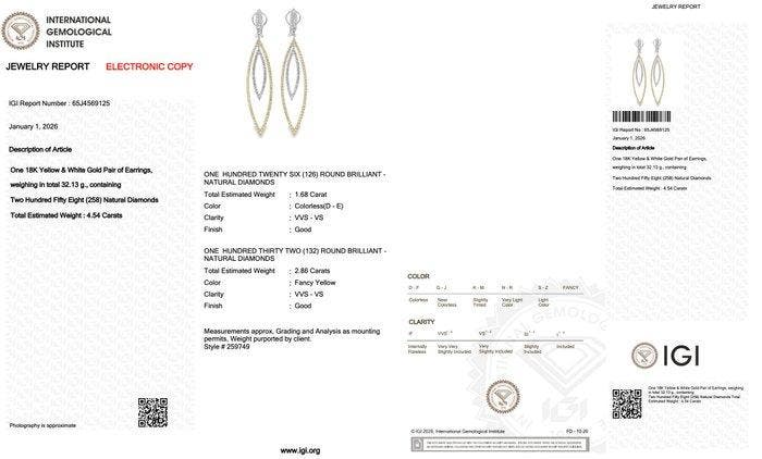 Oorbellen - 18 karaat Geel goud, Witgoud - 4.54ct. tw., Handtassen en Accessoires, Oorbellen