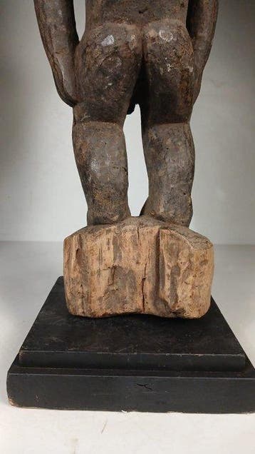 Kameroen (Zonder minimumprijs)