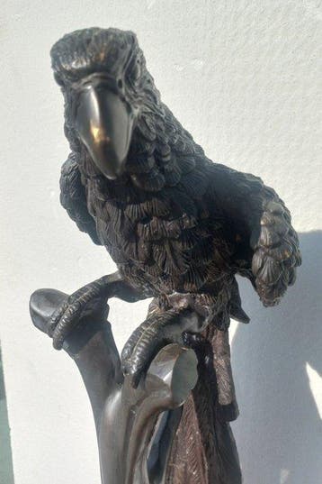 sculptuur, Papagallo - 56 cm - Gepatineerd brons