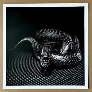 Ralph Hargarten - Black Snake