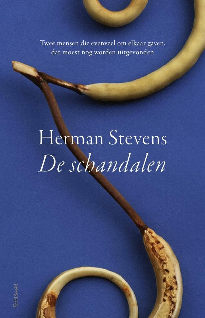 De schandalen (9789044648188, Herman Stevens), Boeken, Romans, Nieuw, Verzenden