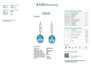 Hangoorbellen - 14 karaat Witgoud - 11.00ct. tw. Topaas -