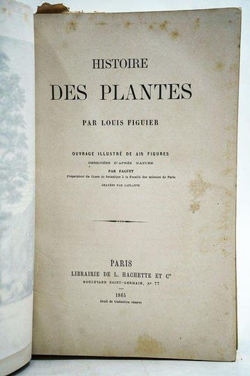 Louis Figuier / Faguet & Laplante - Histoire des Plantes -