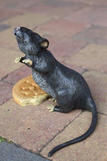 Franz Xavier Bergman after - sculptuur, Rat nibbling on a