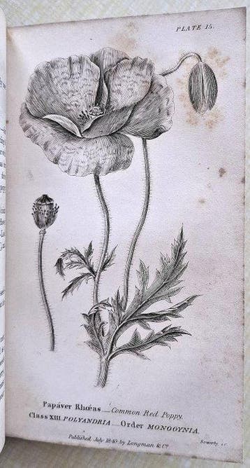 Sarah Mary Fitton - Conversations on Botany - 1840