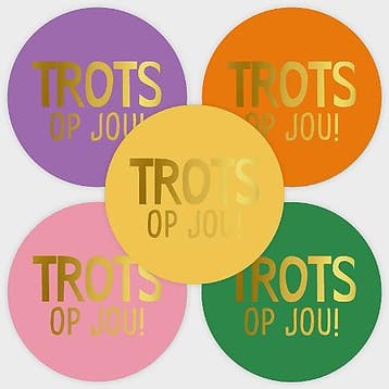 10x Sticker TROTS OP JOU - school - examen - kanjer - topper, Verzenden, Nieuw, Meerdere stickers