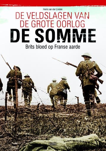 De Somme / De veldslagen van de Grote Oorlog 9789463382182, Boeken, Verzenden, Zo goed als nieuw, Henk van der Linden