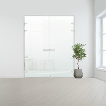 Glazen dubbele binnendeur XL voor opdek kozijn aluminium bes, Doe-het-zelf en Bouw, Glas en Ramen, Verzenden, Nieuw