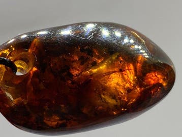Cosmic Flame – Pendentif exclusif en ambre baltique sur, Verzamelen, Dierenverzamelingen, Nieuw