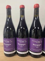 2023 Marc Soyard, Domaine de la Cras Coteaux de Dijon -, Nieuw