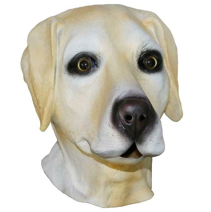 Hondenmasker labrador, Hobby & Loisirs créatifs, Articles de fête, Envoi