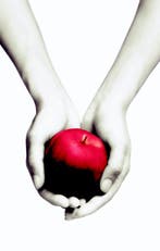 Twilight / Twilight / 1 9789022559888 Stephenie Meyer, Boeken, Verzenden, Zo goed als nieuw, Stephenie Meyer