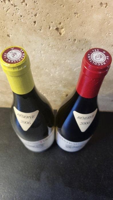 2006 Chateau des Tours - Côtes-du-rhône - 2 Flessen (0.75, Collections, Vins
