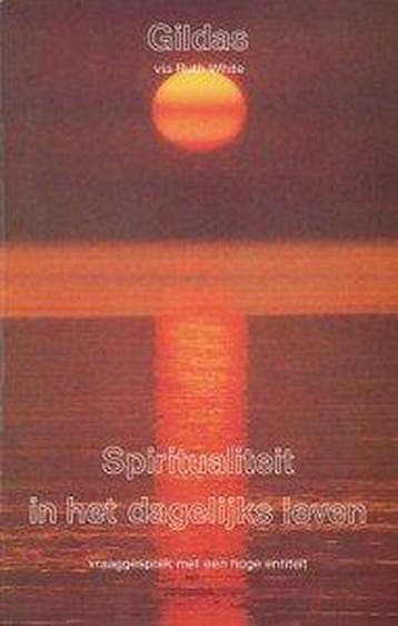 SPIRITUALITEIT IN HET DAGELIJKS LEVEN 9789020255317 Gildas, Verzenden, Gelezen, Gildas