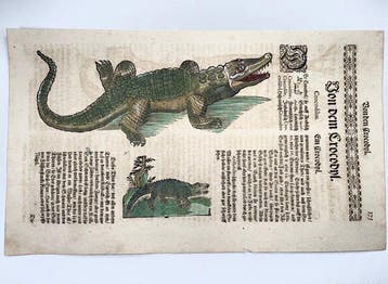 Conrad Gessner [1516-1565]; folio with woodcuts - Reptile,