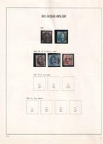 Belgique 1849/1959 - Collection dans lalbum DAVO, Postzegels en Munten, Gestempeld