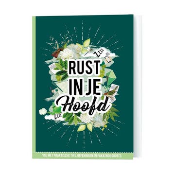 Rust in je hoofd 9789463542395 Anna Barns, Verzenden, Gelezen, Anna Barns