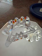 Swarovski - Figurine - Baby Lovebirds 199123 - Box - Cristal