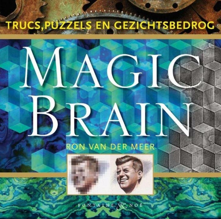 Magic brain 9789460540707 Ron van der Meer, Boeken, Stripverhalen, Gelezen, Verzenden