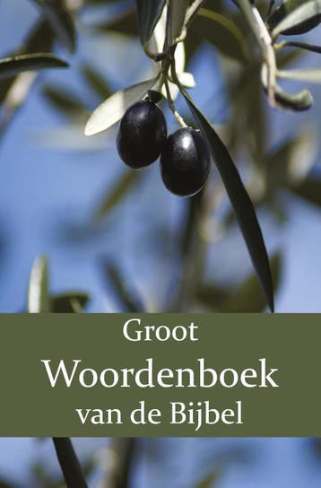 Groot Woordenboek Van De Bijbel A-H | Nieuw, Verzenden, Nieuw, W. Moll; P.J. Veth; F.J. Domela Nieuwenhuis
