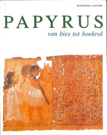 Papyrus 9789062551347 Raven, Boeken, Verzenden, Gelezen, Raven