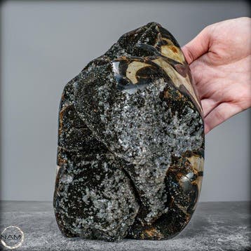 Zeer decoratieve septaria Druse, met calcietkristallen-