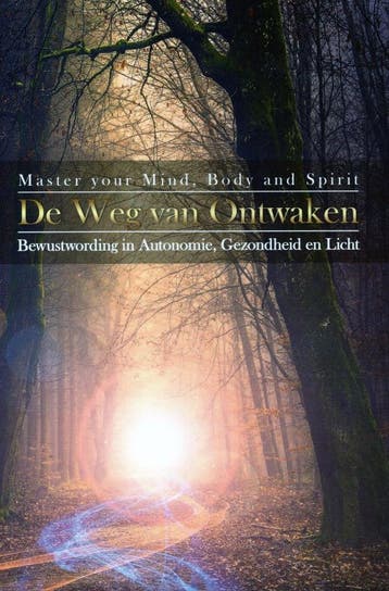 De weg van ontwaken - Daniëlle Stotijn - 9789090354972 - Pap, Verzenden