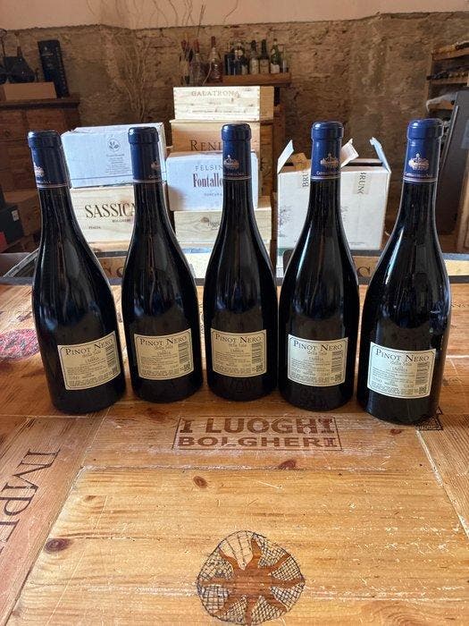 2023 Antinori, Pinot Nero della Sala - Umbrië - 5 Fles (0,75, Collections, Vins