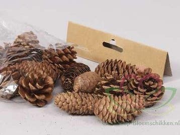 Dennenappel Ray Cones Naturel 100 gram kleinverpakking, Hobby en Vrije tijd, Nieuw