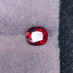 Zonder minimumprijs - 1 pcs Rood Spinel - 1.65 ct -, Nieuw
