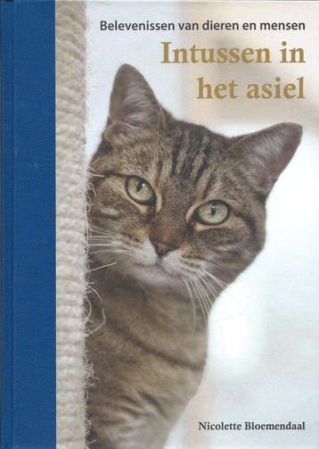 Intussen in het asiel 9789083271613 Nicolette Bloemendaal, Verzenden, Zo goed als nieuw, Nicolette Bloemendaal