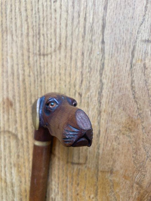 Wandelstok - Hout, Antiek en Kunst, Curiosa en Brocante