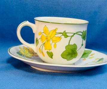 Villeroy & Boch - Kop en schotel (13) - Porselein