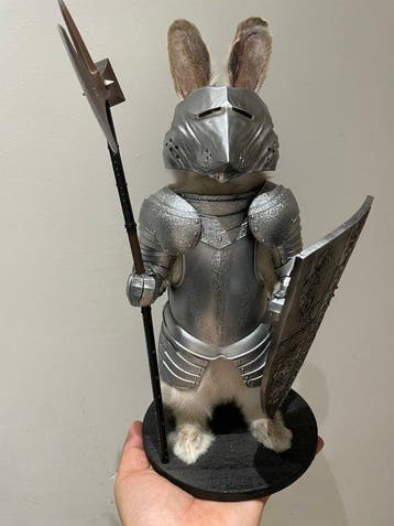 Konijnridder Taxidermie volledige montage - taxidermy