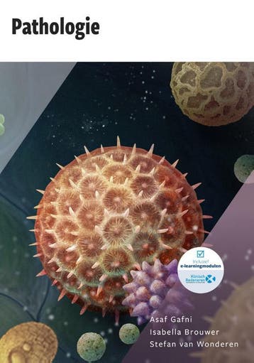 Pathologie 9789083139371 Asaf Gafni, Verzenden, Asaf Gafni