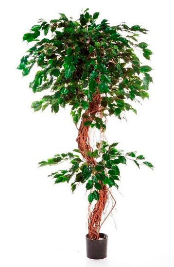 Kunstplant Ficus Twisted 210 cm, Huis en Inrichting, Verzenden