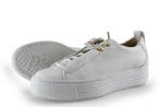 Paul Green Sneakers in maat 36 Wit, Verzenden, Wit, Zo goed als nieuw, Sneakers