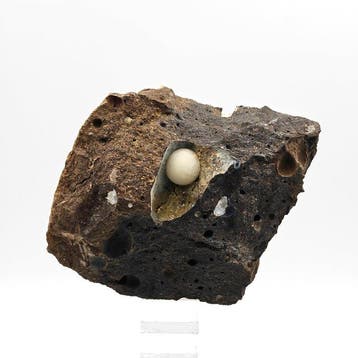Grote esthetische bol van witte calciet in een geode van, Verzamelen, Mineralen en Fossielen