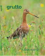 Grutto 9789464069624 Grutto, Verzenden, Nieuw, Grutto
