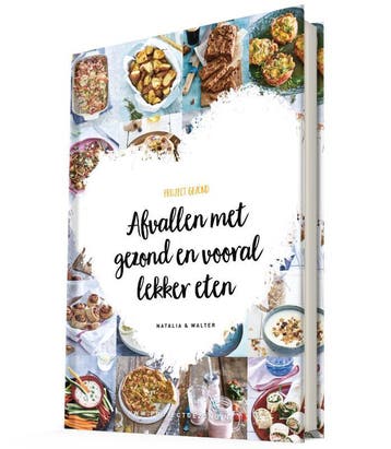 Project Gezond 9789082745214 Natalia Rakhorst, Verzenden, Natalia Rakhorst