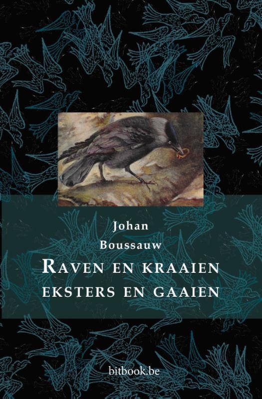 Raven En Kraaien, Eksters En Gaaien | Johan Boussauw | Nieuw, Boeken, Overige Boeken, Nieuw, Verzenden