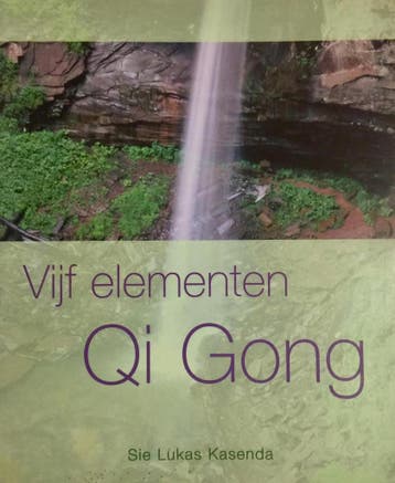 VIJF ELEMENTEN QI GONG 9789055019472 S.L. Kasenda, Verzenden, Gelezen, S.L. Kasenda