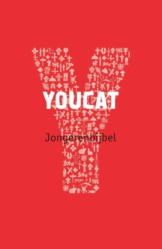 Youcat jongerenbijbel / Youcat 9789080844650, Boeken, Esoterie en Spiritualiteit, Zo goed als nieuw, Verzenden
