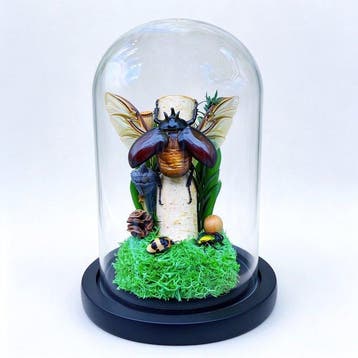 Insekt Pantser - Chalcosoma atlas - 16 cm - 12 cm - 1 cm -