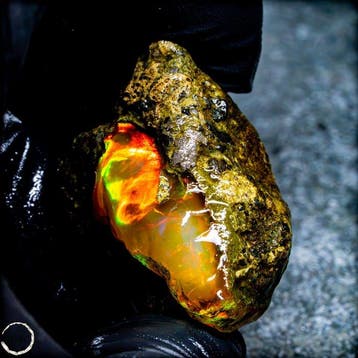 Crystal Opal – Een vuurwerk van licht en kleur 90,05ct-