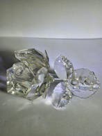 Swarovski - Figurine - Rose branch - 890285 - Box +