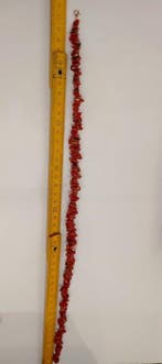 Corail rouge Corail - Corallium rubrum (Sans prix de