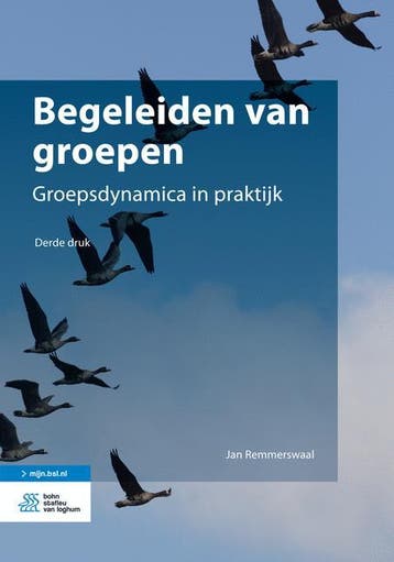 Begeleiden van groepen 9789036807241 Jan Remmerswaal, Verzenden, Jan Remmerswaal