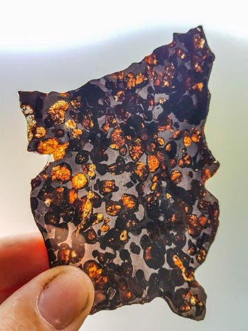 Pallasiet Sericho pallasite - Hoogte: 13.5 cm - Breedte: 9